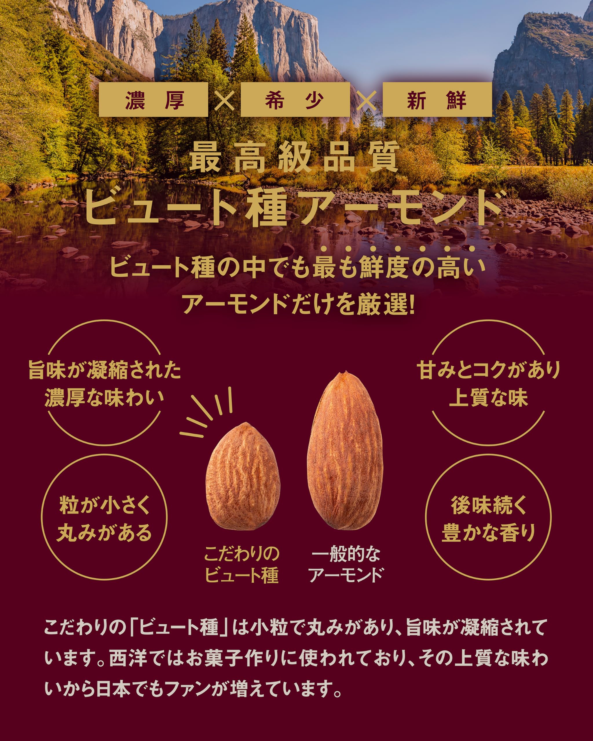 Amazon.co.jp: 【最上級ビュート種】72 NANAJUNI アーモンド 素焼き 無